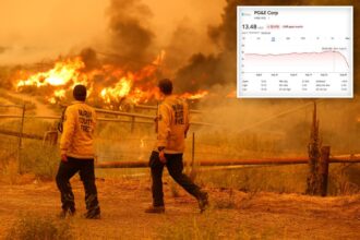 California’s biggest utility in crisis mode as shares fall off a cliff and insurers smell blood