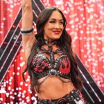 WWE star Brie Bella ‘in a lot of pain’ following injury at SummerSlam, sister says