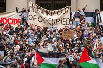 Fox News Campus Radicals Newsletter: Socialist streamer scrapped, a campus hate alert and coddled college kids