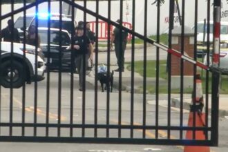Virginia State University shooting: At least 5 injured, one critically