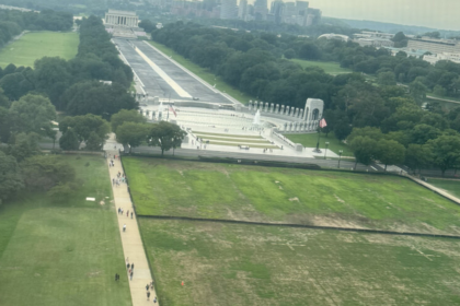 Trump blames vandals for dead grass on National Mall where he hosted 4th of July celebration