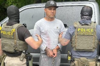 ICE Boston arrests Brazilian illegal alien wanted for murder days before Gov Healy signed Protect Act
