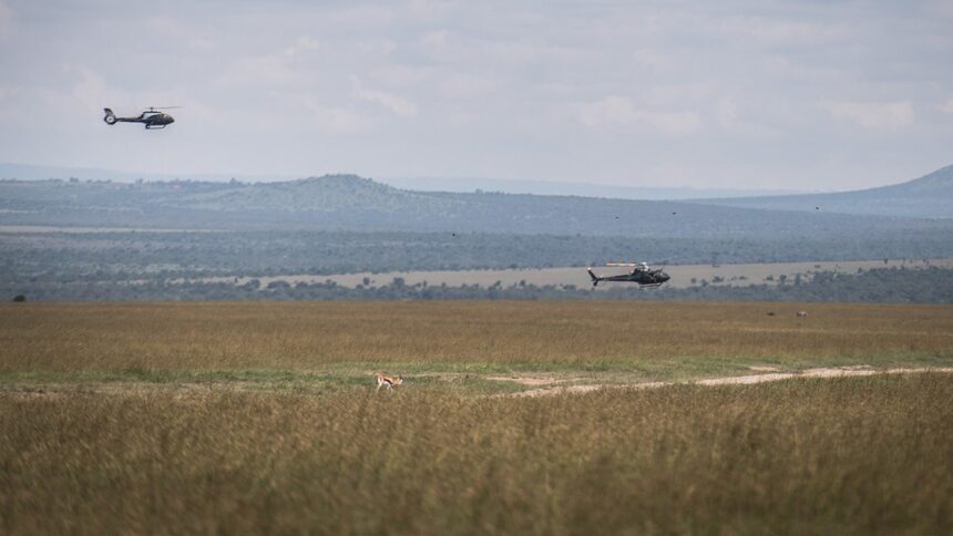 5 Americans killed in helicopter crash in Kenya, including Telemundo executive
