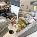 CBP officers seize nearly 850 pounds of khat packed into 12 suitcases after flight from London