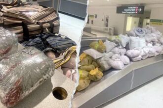 CBP officers seize nearly 850 pounds of khat packed into 12 suitcases after flight from London