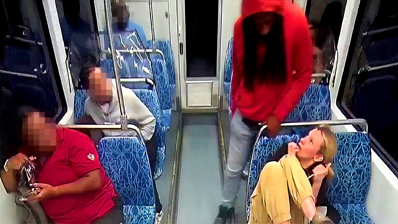 Iryna Zarutska’s family files wrongful death lawsuit alleging no security guard was on train