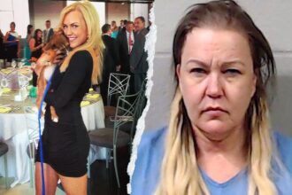 Former news anchor pleads guilty to stabbing mother to death on Halloween