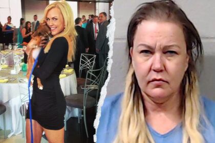 Former news anchor pleads guilty to stabbing mother to death on Halloween