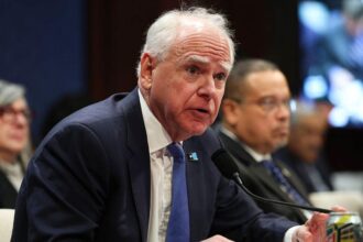 ‘We have not slowed down’: Minnesota not out of the woods on massive fraud scandal, expert warns