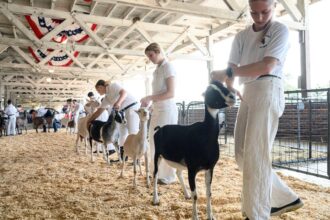 North Carolina warns mobile petting zoo visitors of rabies exposure after baby goats test positive