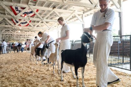 North Carolina warns mobile petting zoo visitors of rabies exposure after baby goats test positive