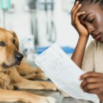 Most pet owners would go into debt for their pet —  most can’t afford to