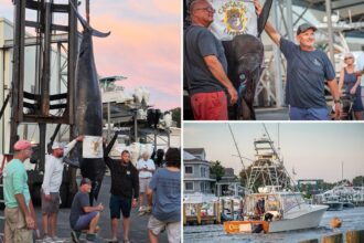 Fishermen stunned when they hooked this massive sea beast — believed to be the biggest of its kind caught on East Coast