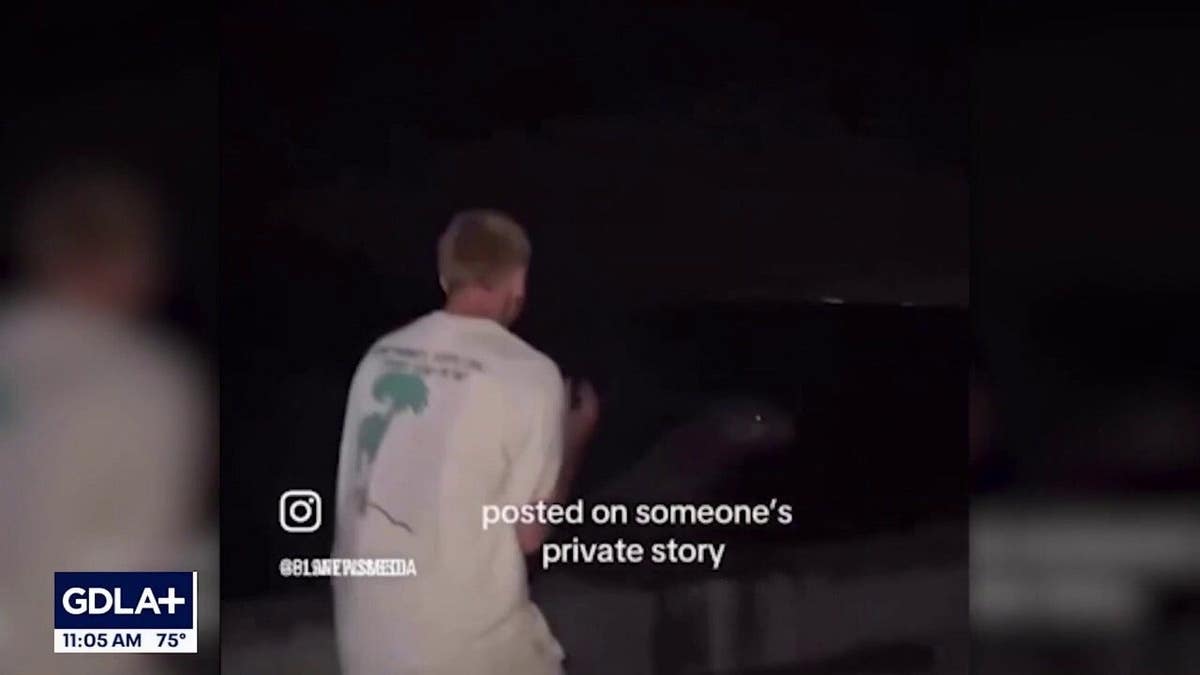 Tyler Muehl in video footage