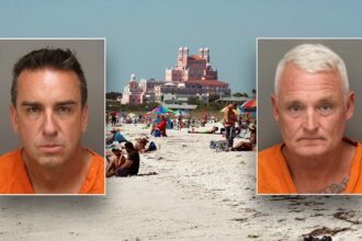 Florida business owners allegedly scattered 1,500 mothballs on beach to send endangered birds packing