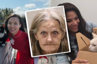 Florida mail carrier accused of snatching pets on route, trapping 100-plus cats and dogs in ‘hoarding’ house