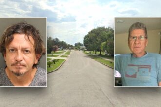Florida man on probation allegedly kills and dismembers stepfather, stuffs body parts in suitcases