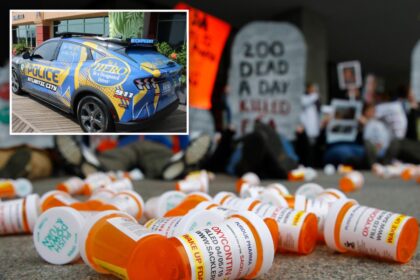 NJ towns ‘wasted’ .3M of opioid settlement on lavish purchases: ‘people are dying because of this’