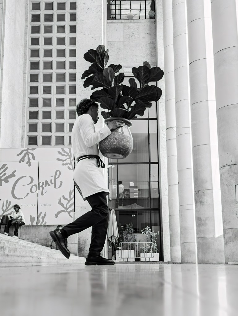 Black and white image of a man carrying a plant