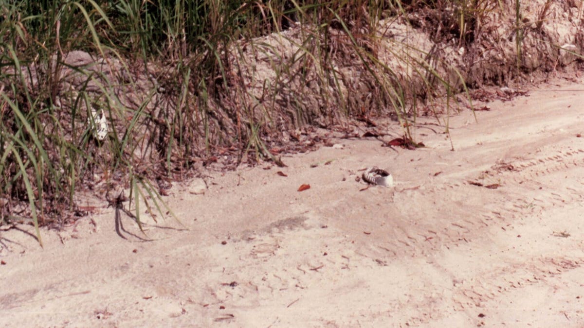 Shoe prints in the sand.