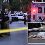 39-year-old killed with single shot to the head outside NYC home
