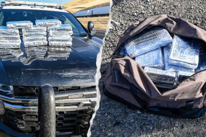 Routine California traffic stop leads to seizure of 30 pounds of cocaine worth more than 0K