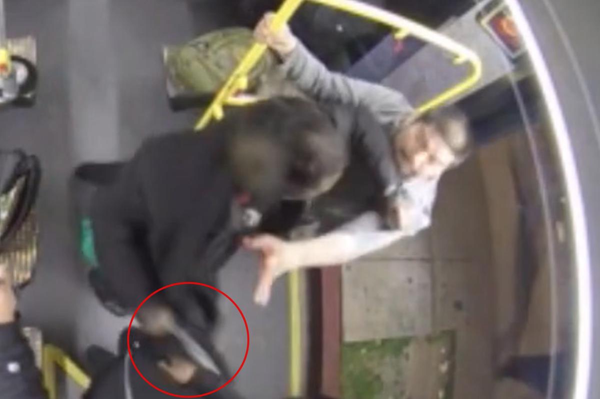 Chilling new video shows racist stabber’s savage LA Metro attack before life sentence