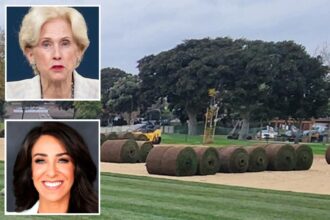 SoCal city dumps weedkiller on sports fields as child cancer deaths fuel toxic-chemical fears