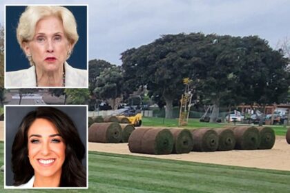 SoCal city dumps weedkiller on sports fields as child cancer deaths fuel toxic-chemical fears