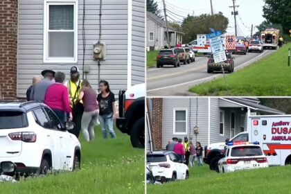 NJ driver veers into oncoming traffic, killing 2 motorcyclists after she ‘freaked out’ over bug: cops