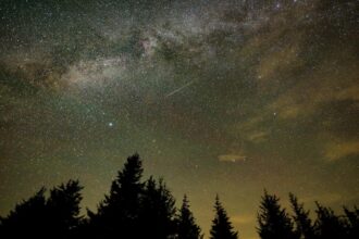 Meteor shower dubbed ‘the Perseids’ will follow a solar eclipse on August 12 — and will light up the sky from North Carolina to Alaska