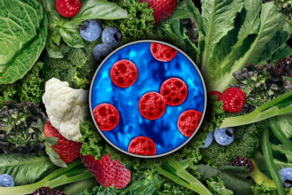 First 2 Deaths Reported in Cyclospora Outbreak. Get the Info You Need to Keep Yourself Safe