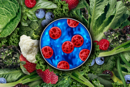 First 2 Deaths Reported in Cyclospora Outbreak. Get the Info You Need to Keep Yourself Safe