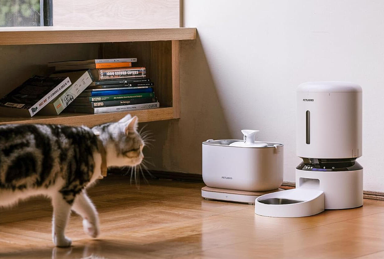 Pets Left in a Ruff Spot After Automatic Feeders Go Down