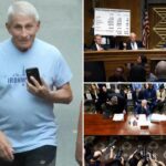 Dr. Anthony Fauci’s phone turned over to Senate panel ahead of contempt vote