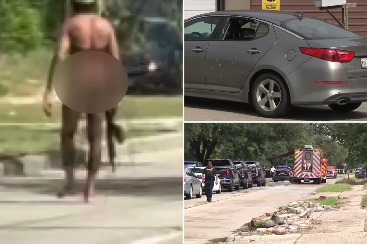 Houston police shoot gunman who indiscriminately fired on vehicles, injuring mother and daughter