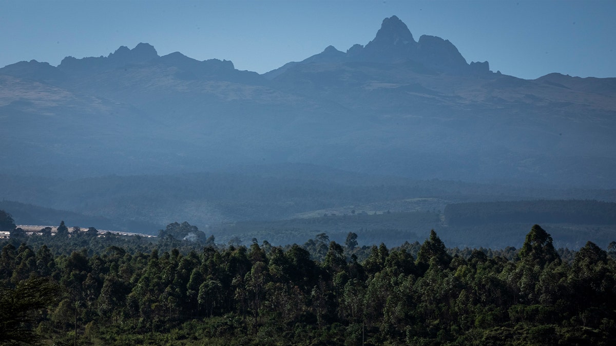 mountains behind trees