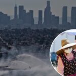 Popular travel destination known for clean-eating, wellness culture now plagued with rotting stench