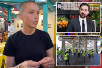 NYC might give grants to local grocers losing business to Mamdani’s city-owned stores: ‘Utterly insane’