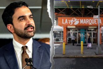 Grocers issue warning over Mamdani’s taxpayer-backed stores: ‘We’re going to go after’ them
