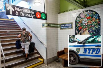 Crazed stranger randomly shoves woman onto NYC train tracks, then walks into psych clinic: cops, sources