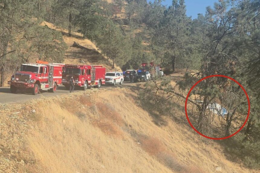 Couple’s intense fight causes partner to drive car off a cliff