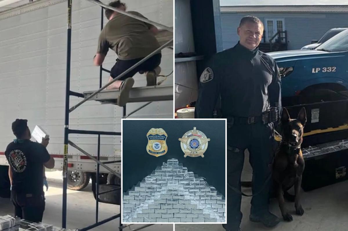 Russian national arrested with nearly 800 pounds of meth in ‘one of the largest’ busts in Louisiana history