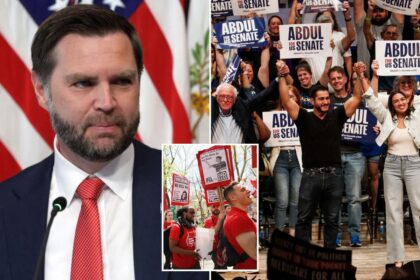 JD Vance warns Republicans not to blame young Americans for the appeal of socialism