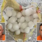 Florida business owners allegedly scattered 1,500 mothballs on beach to scare off endangered birds