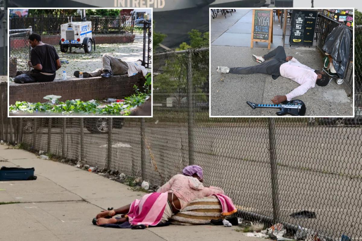 Exclusive | Almost half of NYC homeless deaths tied to drug overdoses or alcohol abuse: study