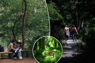 Exclusive | NYC is more than 20 percent open space — and most spend their lives rushing past some of our best, secret parks