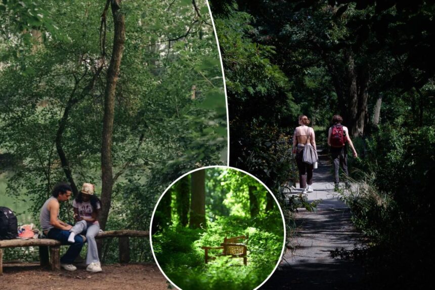 Exclusive | NYC is more than 20 percent open space — and most spend their lives rushing past some of our best, secret parks