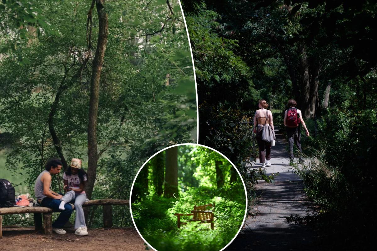 Exclusive | NYC is more than 20 percent open space — and most spend their lives rushing past some of our best, secret parks