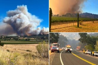 Fast-moving Feliz Fire wildfire explodes in Northern California as urgent evacuation orders issued